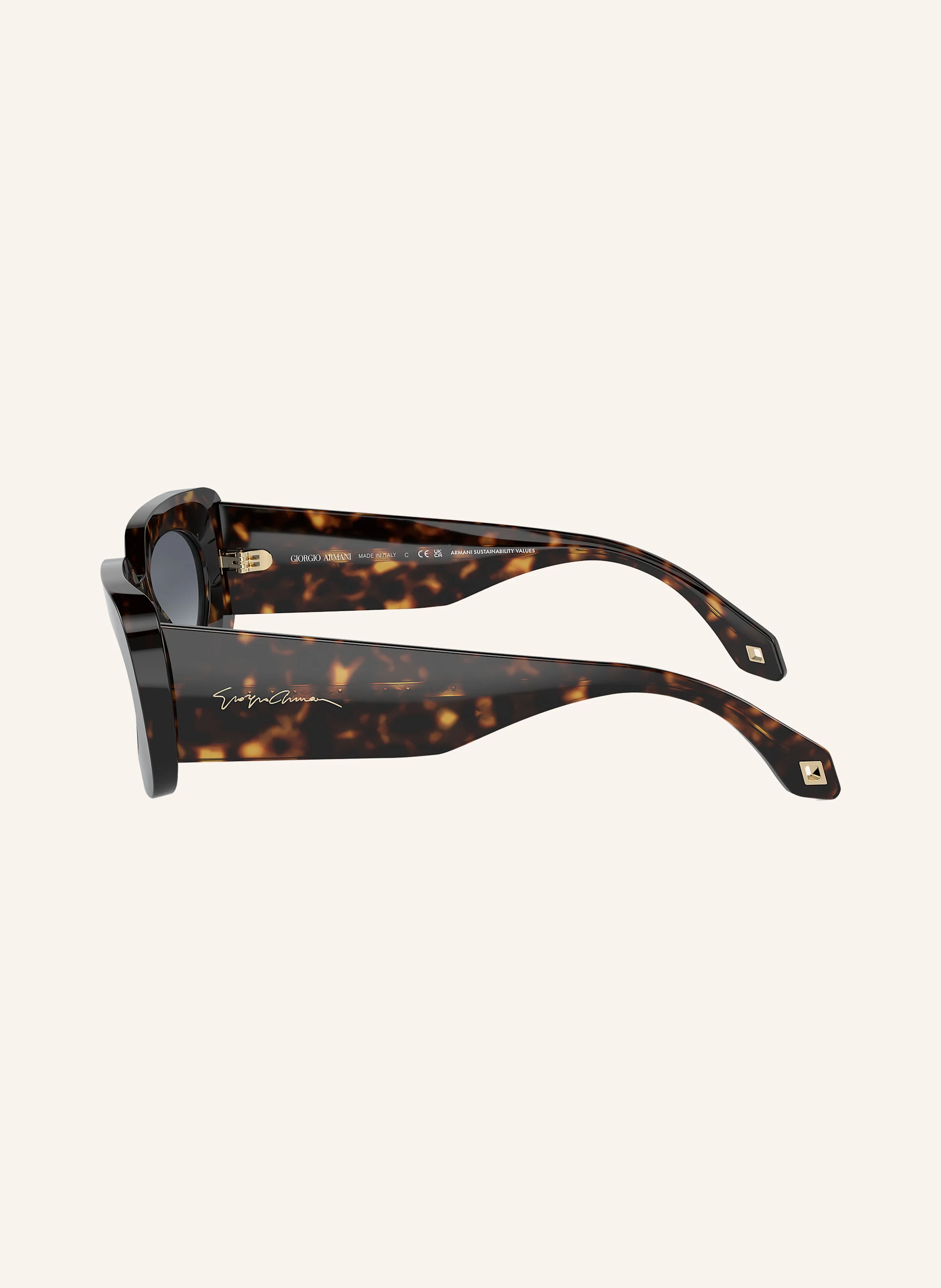 GIORGIO ARMANI Sonnenbrille AR8182