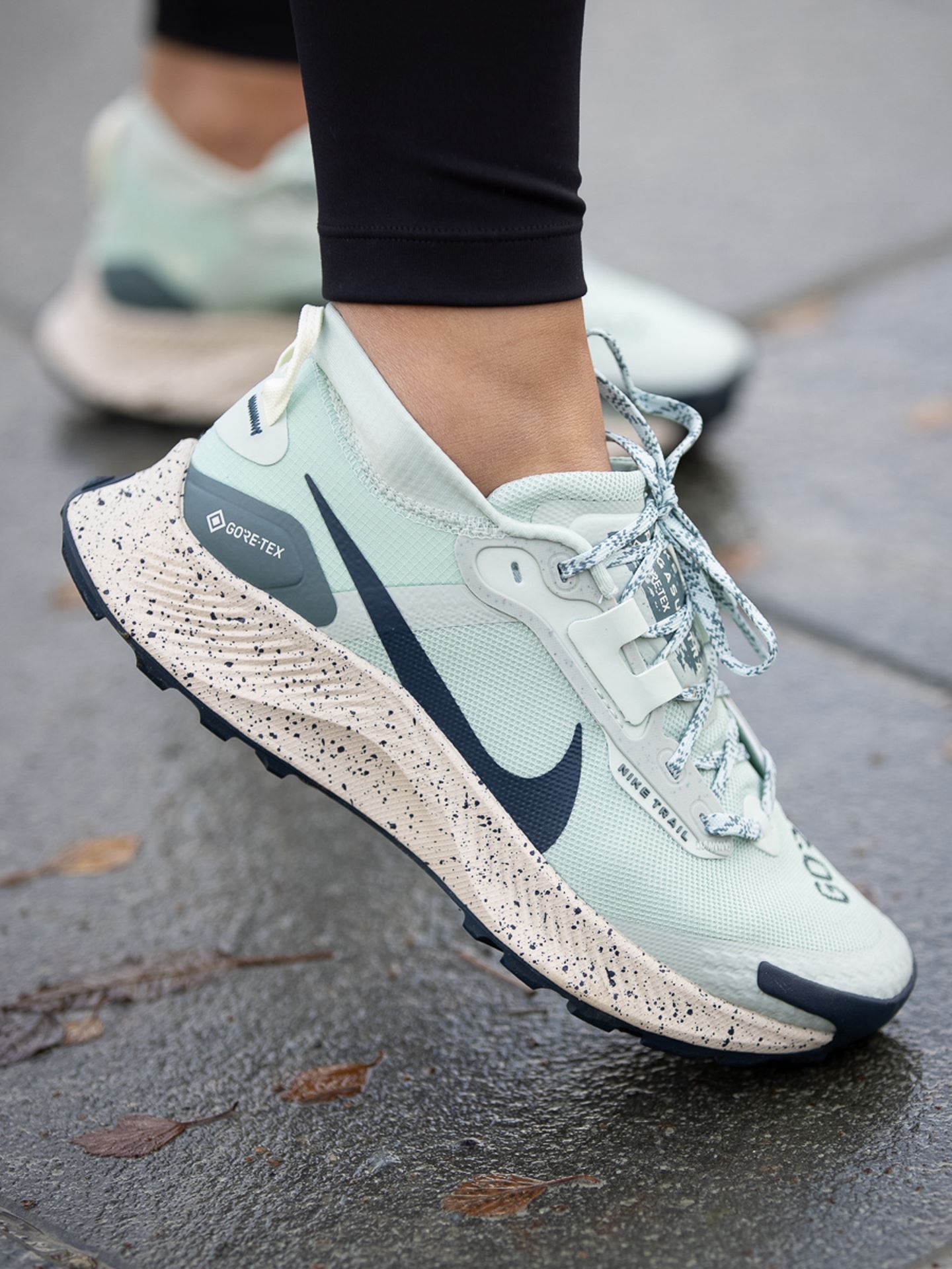 Pegasus Trail 3 GTX