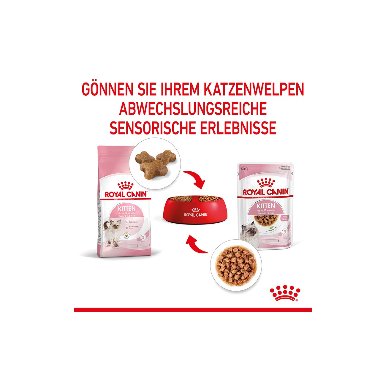 ROYAL CANIN Kitten in Soße 12x85 g