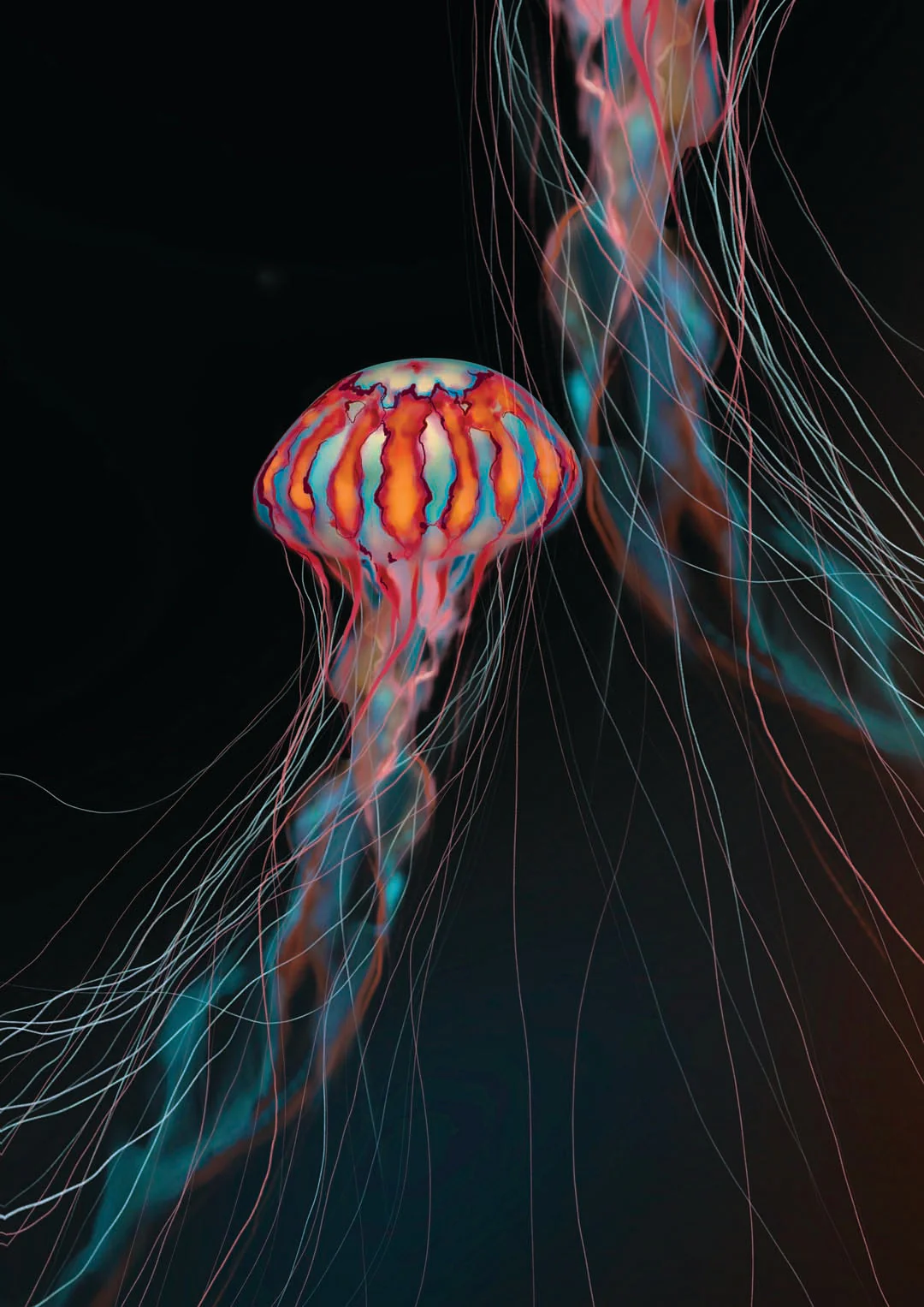 Universum Geist Qualle von Julia Charlott