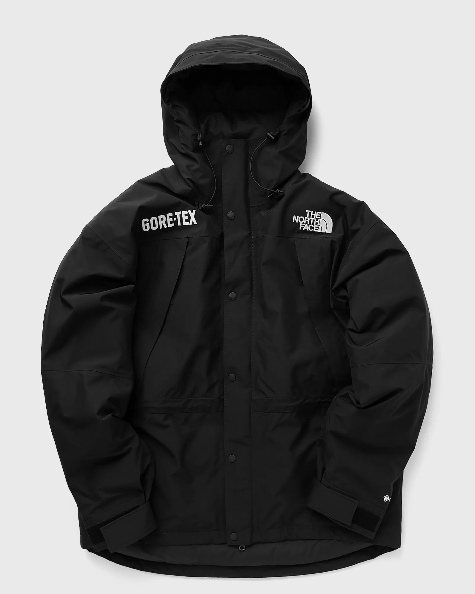 The North Face GTX Mtn Guide Insualted Jacket