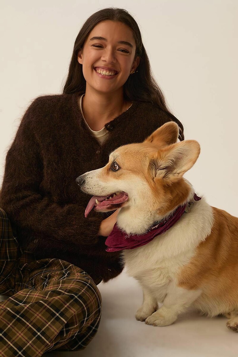 DES PETITS HAUTS<br>Cardigã de mangas compridas com gola redonda, BEA