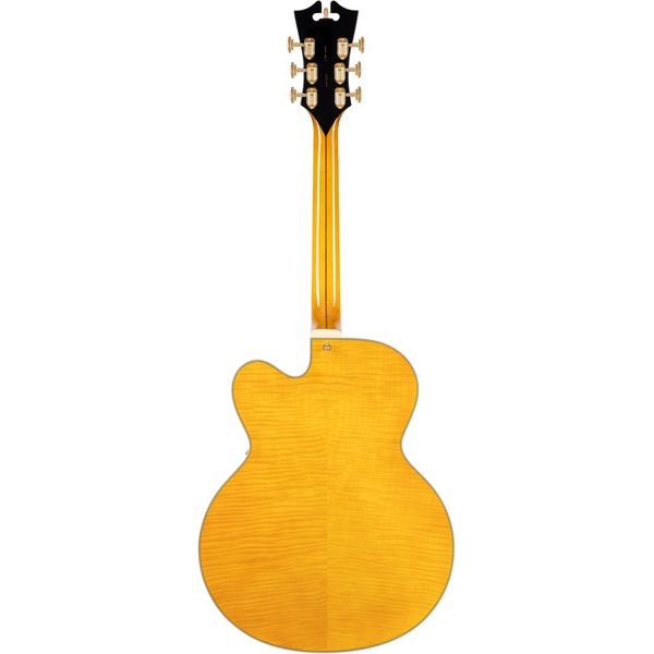 DAngelico Excel EXL1 Amber