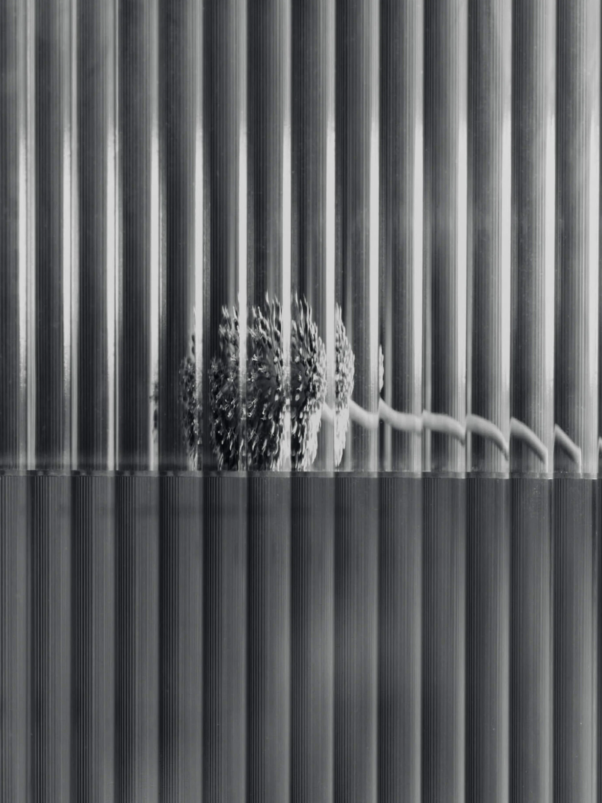 Wandvitrine Haze