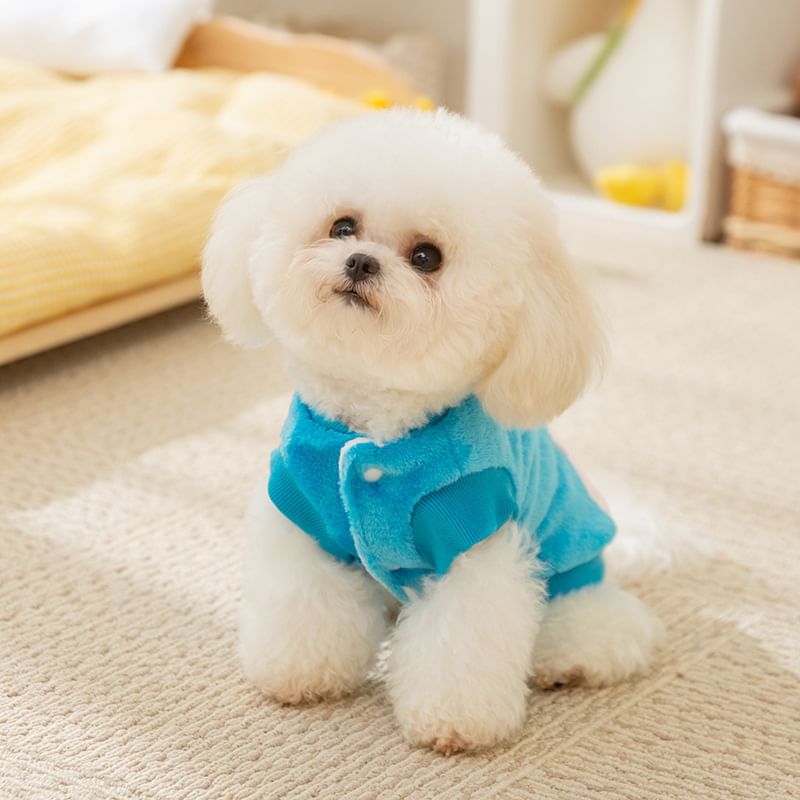 Cissilli - Cartoon Chenille Pet Top (diverse ontwerpen)