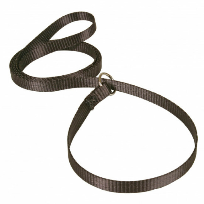 Laisse lasso plate en nylon 1,5 m pour chien