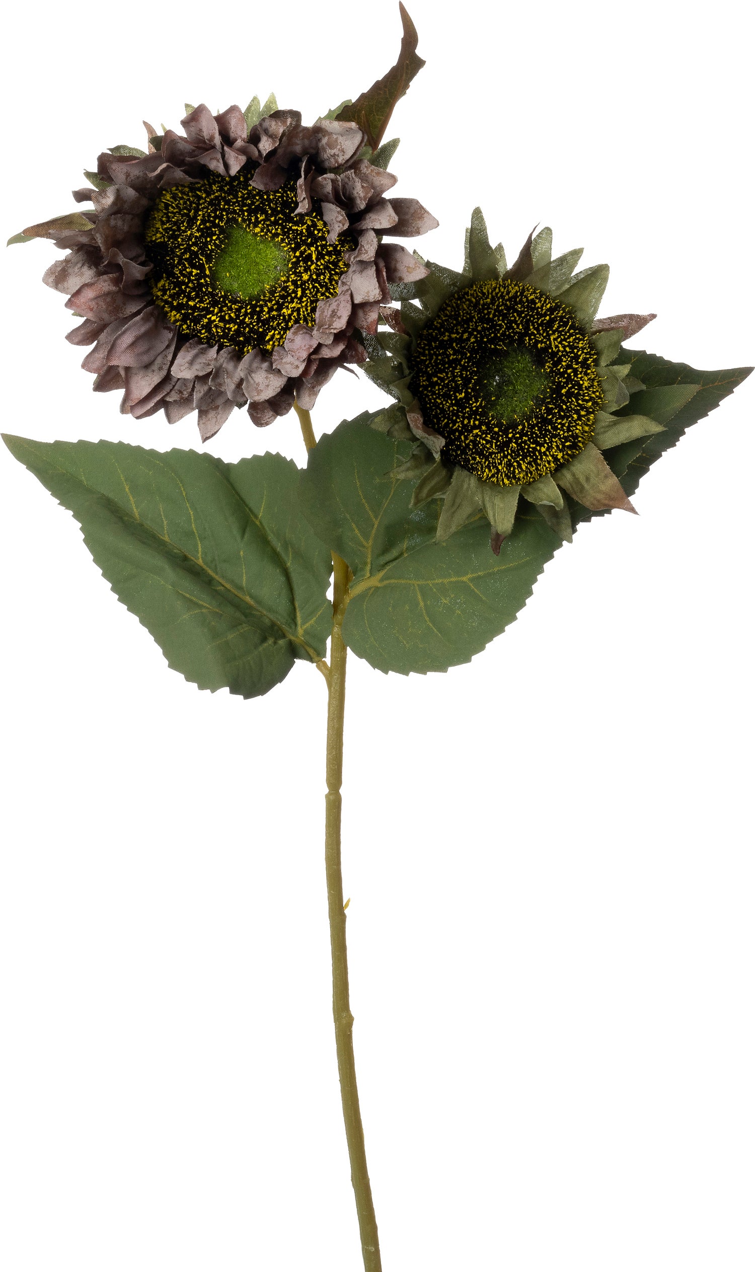 Intratuin kunstbloem Zonnebloem paars 56 cm