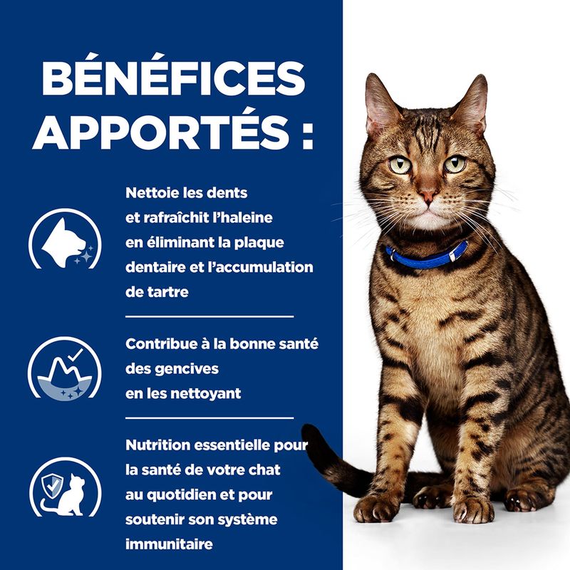 Hill's Prescription Diet Feline t/d