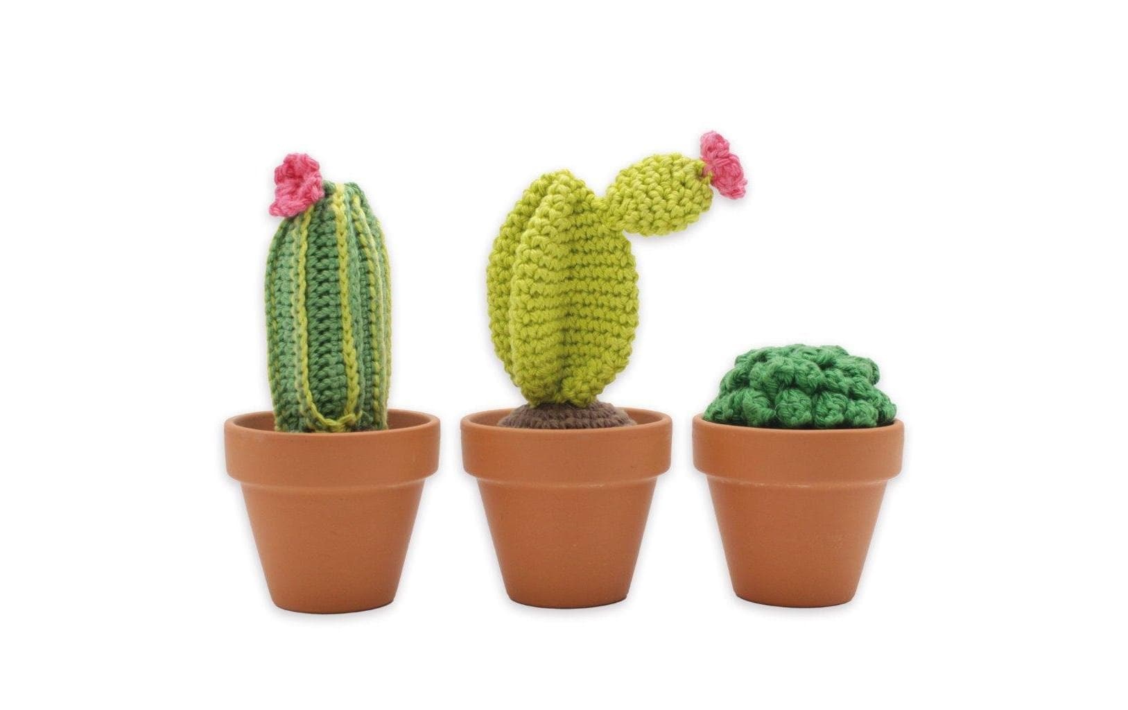 Kreativset »Hardicraft Kakteen 7 - 13 cm«