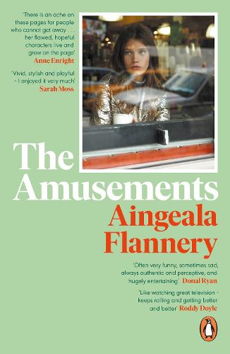 The Amusements (Paperback)
