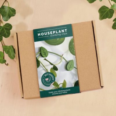Houseplant Climbing Clipbs
