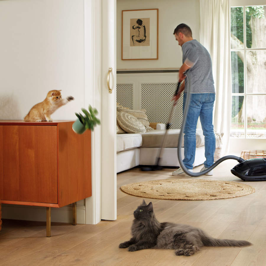 Spray relaxante Beaphar CatComfort para estresse ocasional em gatos.