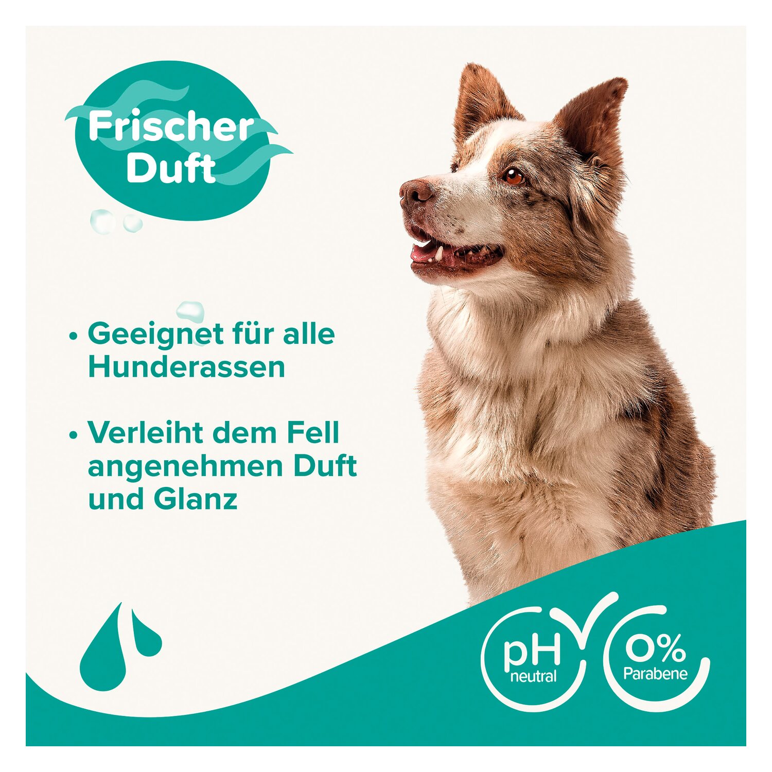 beaphar Hundeshampoo Fell-Glanz  - 250 ml