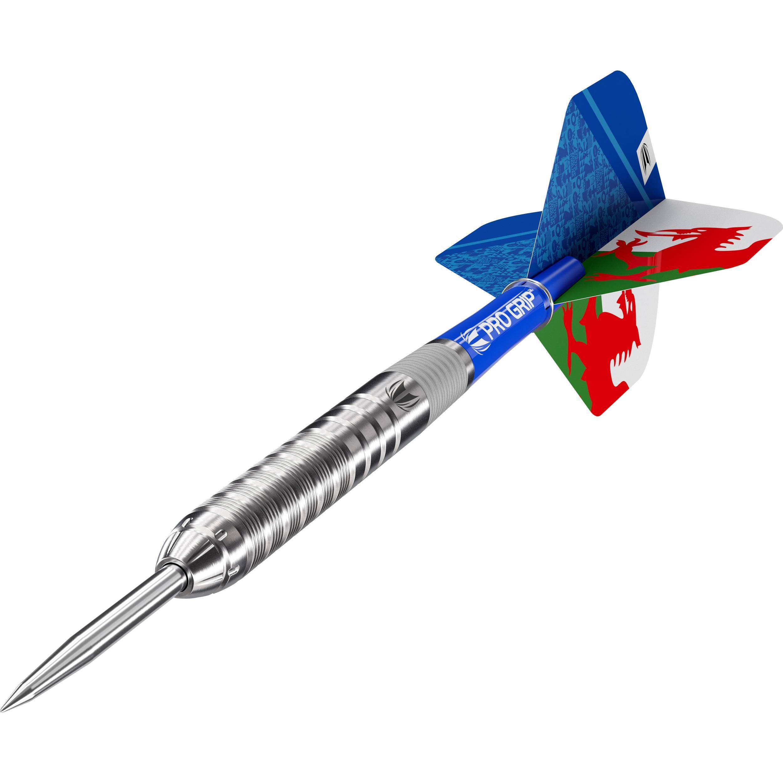 Target - Lewy Williams - Steeldart