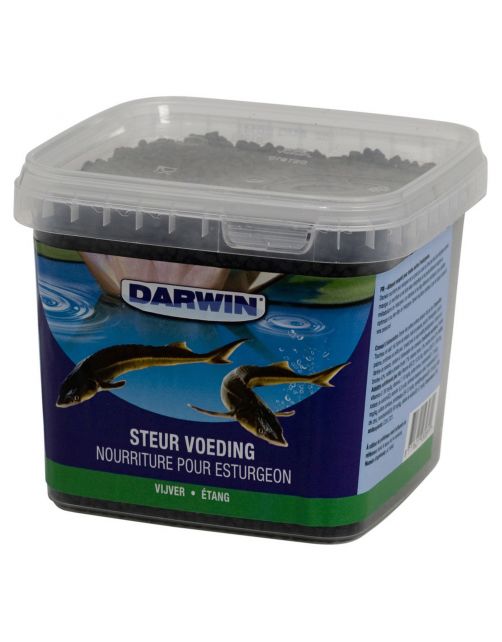 Darwin Steur Vijvervoeding - Vijvervoer