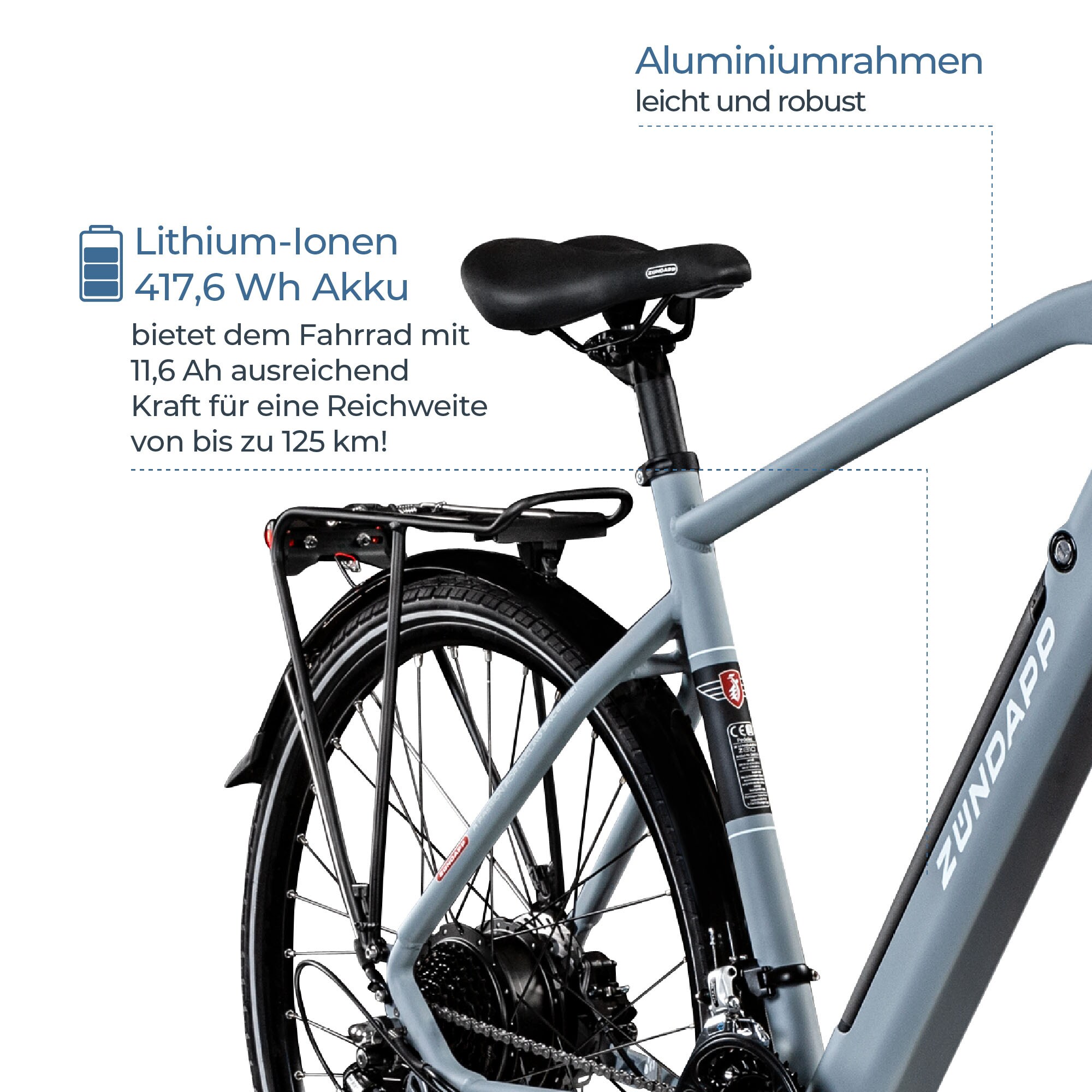 Zündapp Z810 E Bike Trekkingrad Herren ab 160 cm mit 24 Gängen und Beleuchtung StVZO