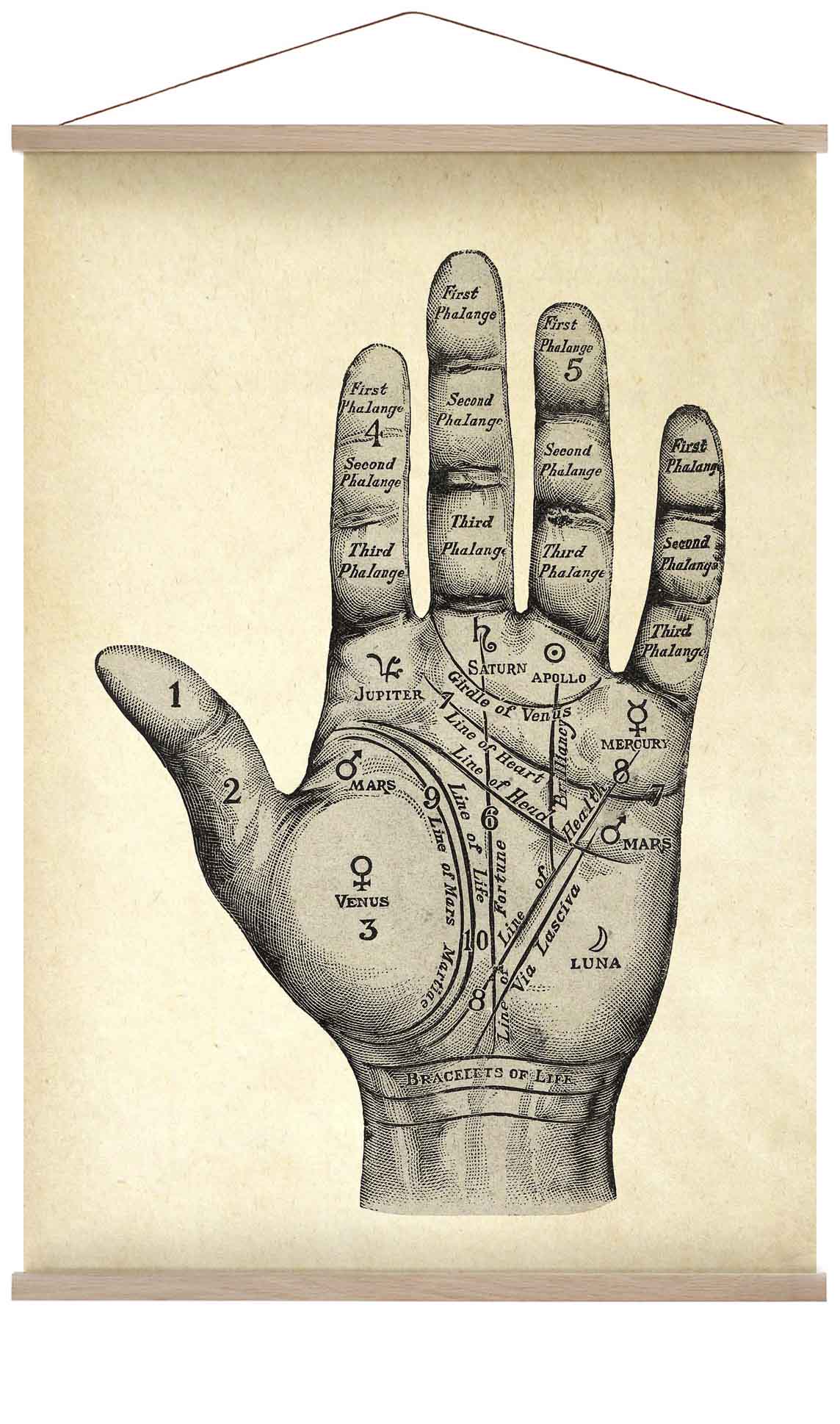 Vintage Mystische Hand