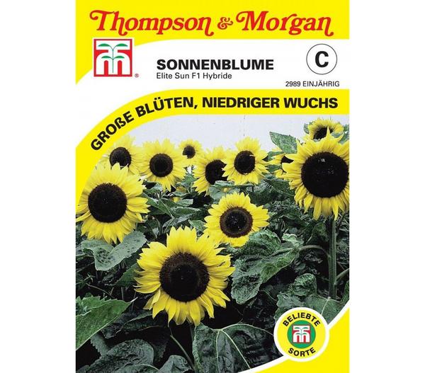 Thompson & Morgan Samen Sonnenblume 'Elite