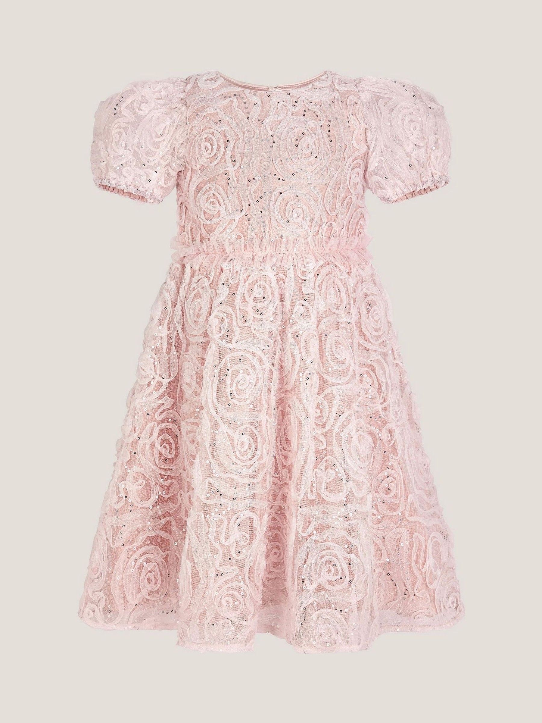 Monsoon Constance Appliqué Rose Party Dress
