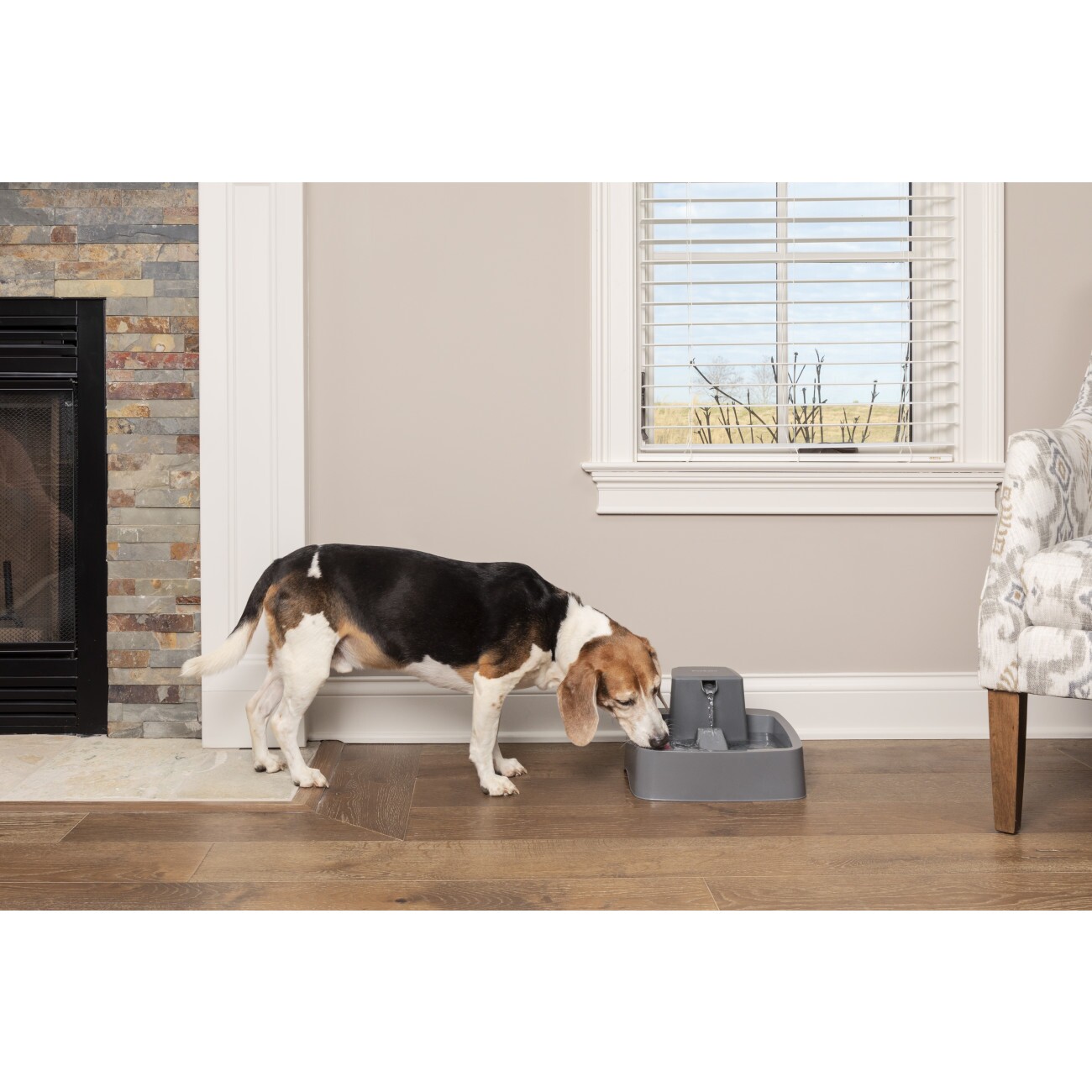 PetSafe Trinkbrunnen 3,7 l