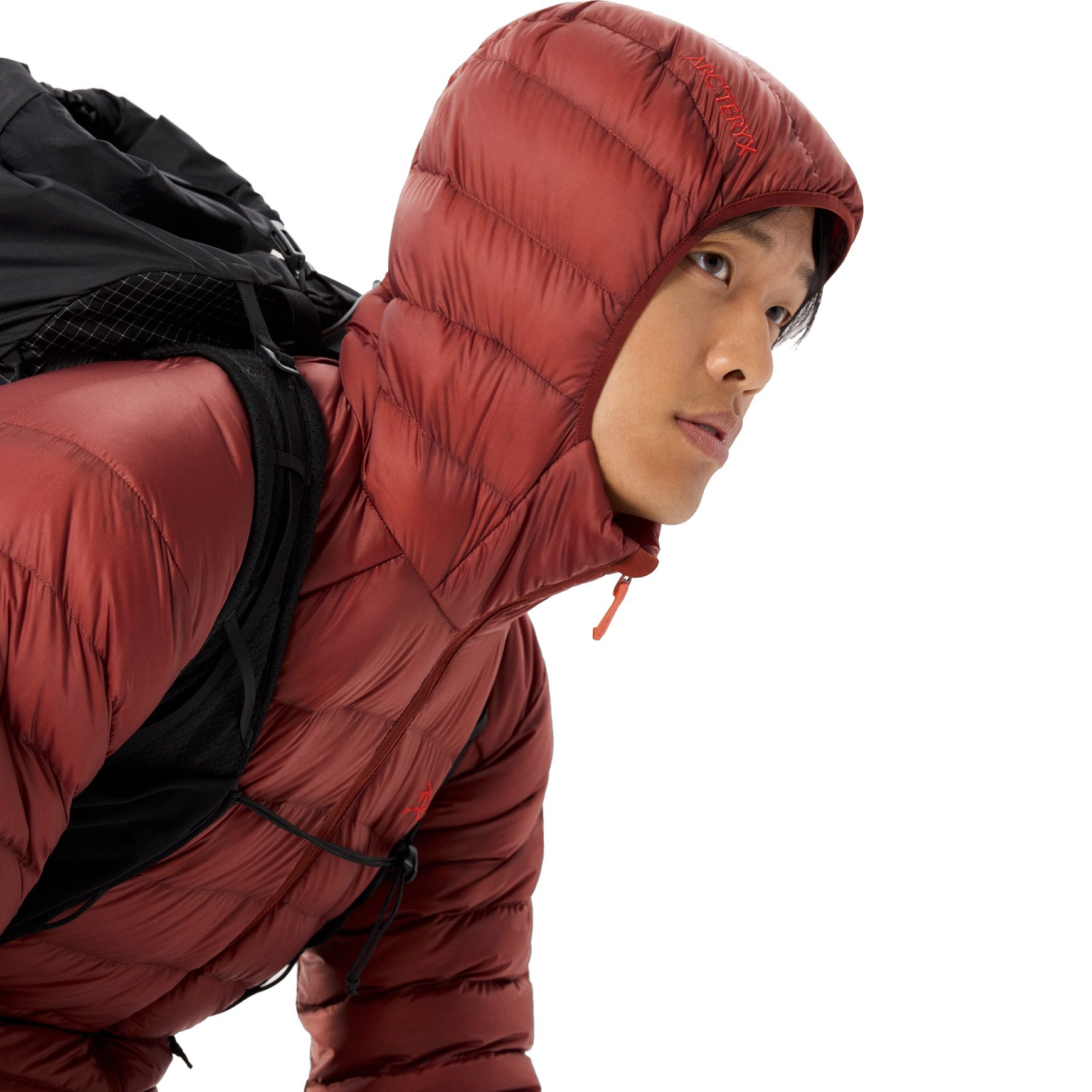 Arc'teryx Cerium Hoody Isolationsjacke Herren sequoia