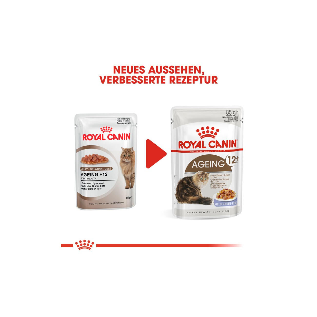 ROYAL CANIN Ageing +12 in Gelee 12x85 g