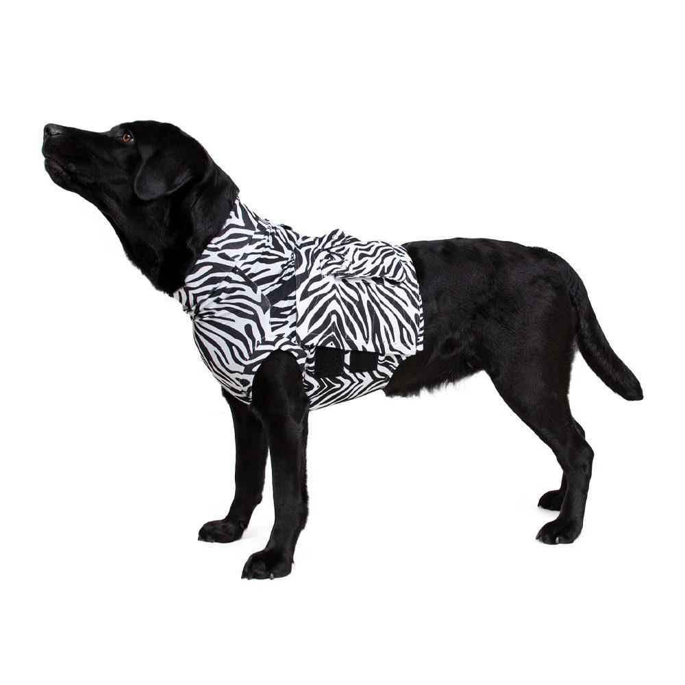 Medical Pet Top Shirt - Zebraprint