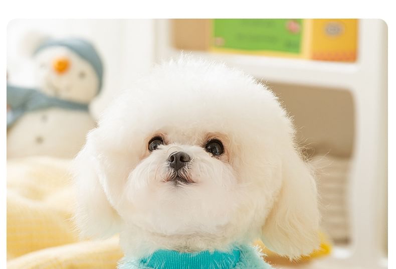 Cissilli - Geborduurd Chenille Pet Topje