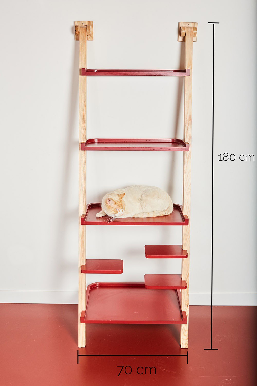 Centro de atividades com estante de livros em forma de gato de madeira, cor verde musgo.