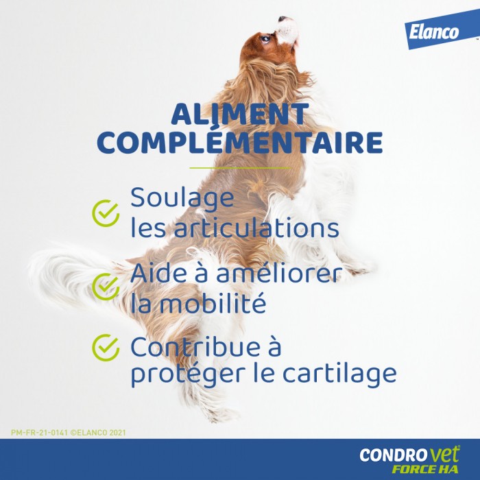 Condrovet Chien