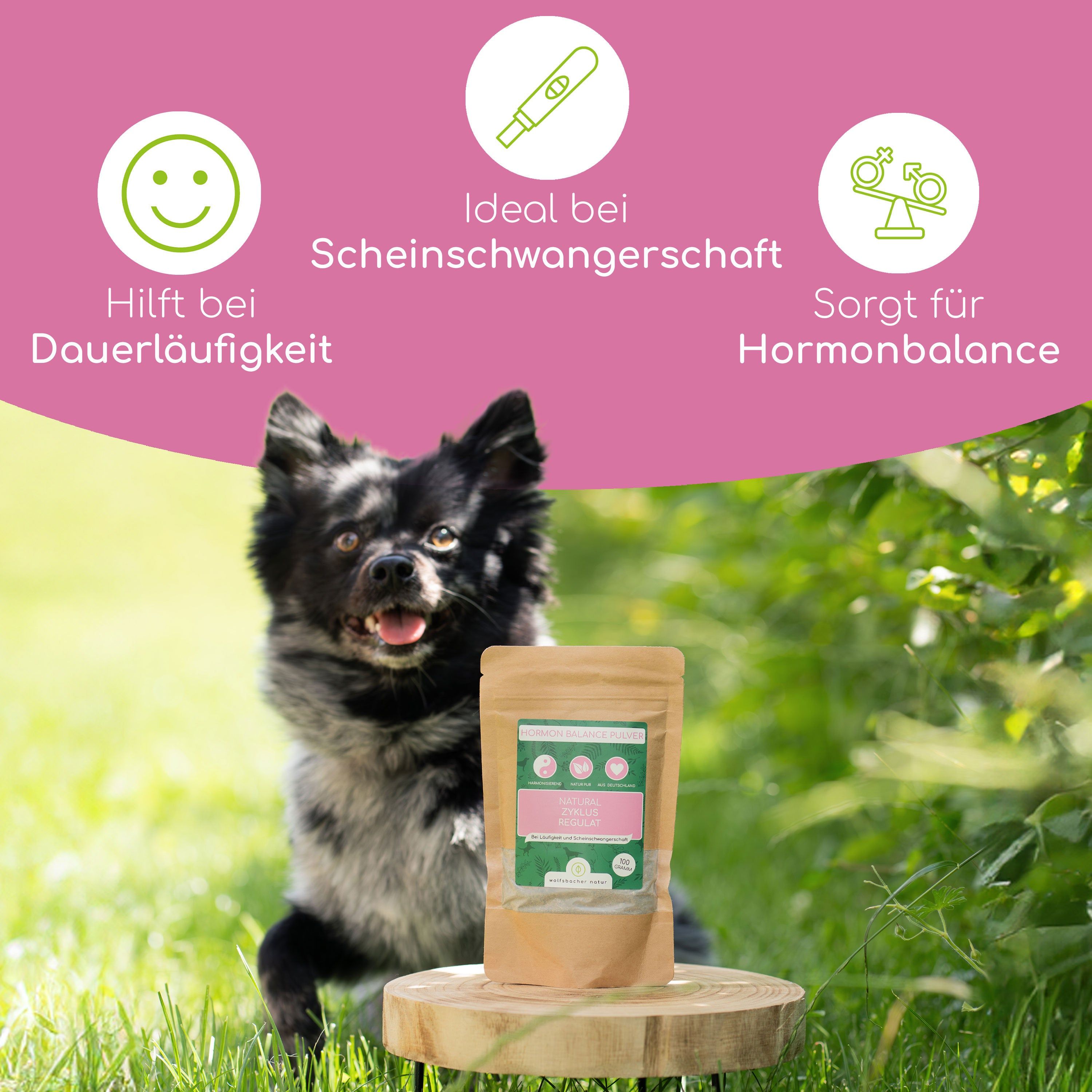 Wolfsbacher Natur Zyklusregulat Pulver