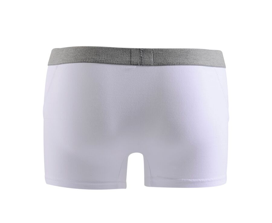 Boîte de 2 boxers homme Blanc - ELLIOT