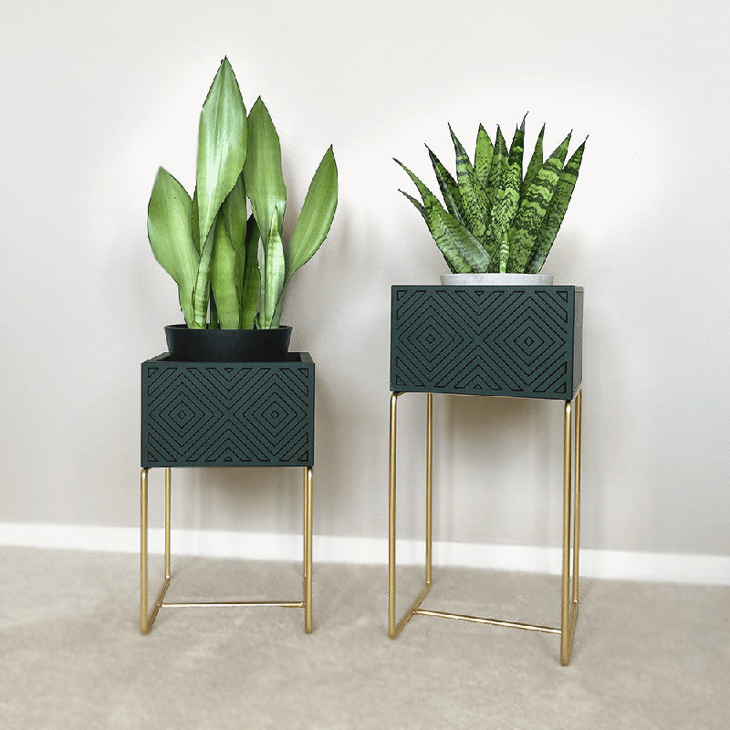 Nevi the plantbox Tannengrün, Gold S