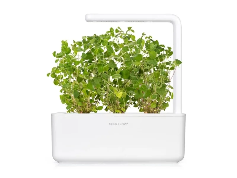 Click and Grow - Smart Garden 3 stykker - Oregano-frø