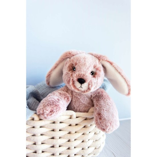 Sweety Mousse   Lapin        Petit modèle   de               Histoire d'ours