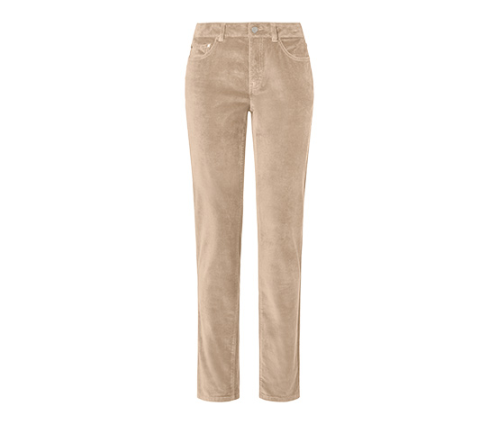 Samthose, camel