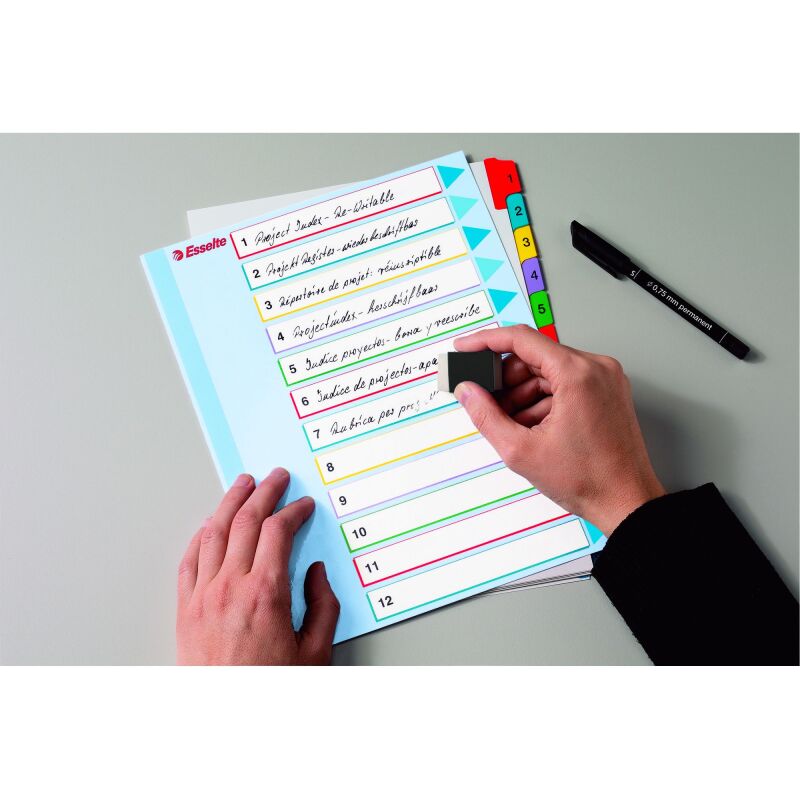 Intercalaire A4+ carte bristol blanche Esselte 12 onglets numériques réinscriptibles multicolores - 1 jeu