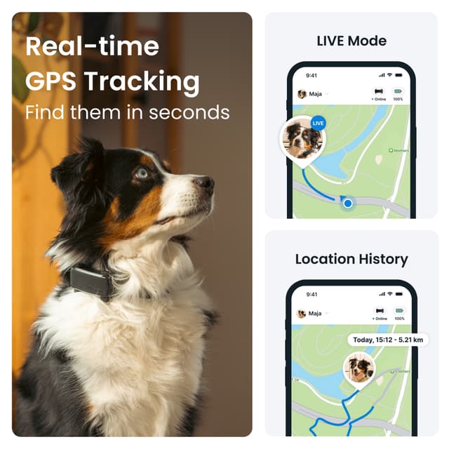 Tractive Dog 6 GPS-tracker (sort)