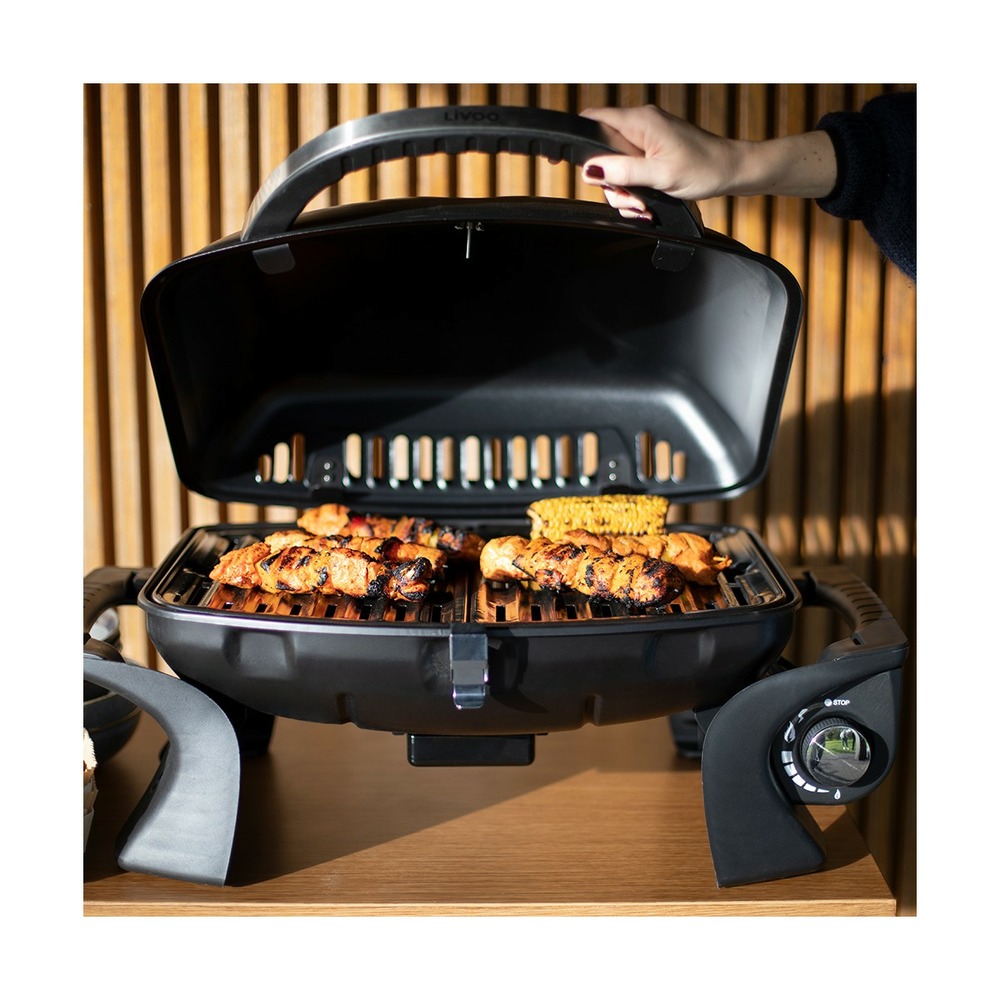 Barbecue gaz portable