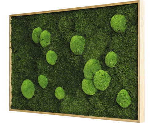 Forest & Ball Moss Fotolijst Eikenlook 100x60 cm