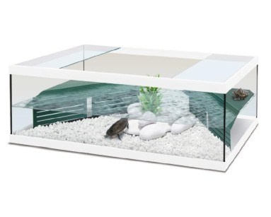 Aquatlantis Schildpadbak Tortum 100 Wit | tortarium