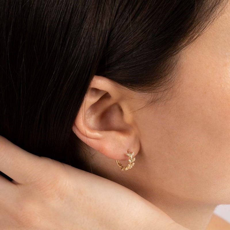 Boucles d'oreilles 