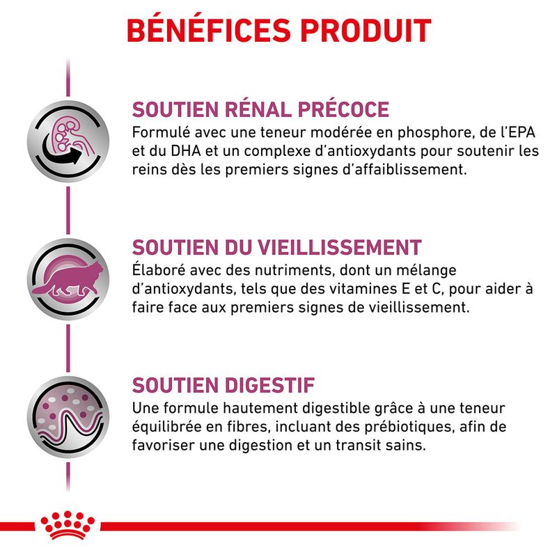 Royal Canin Veterinary Early Renal en sauce