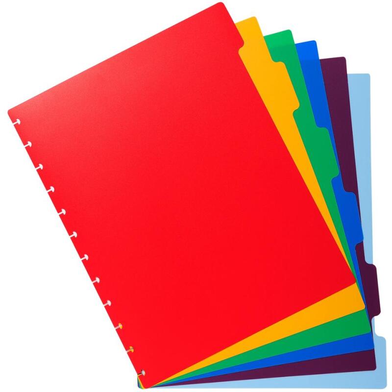 Intercalaires polypropylènes couleurs 6 positions pour porte-vues à anneaux