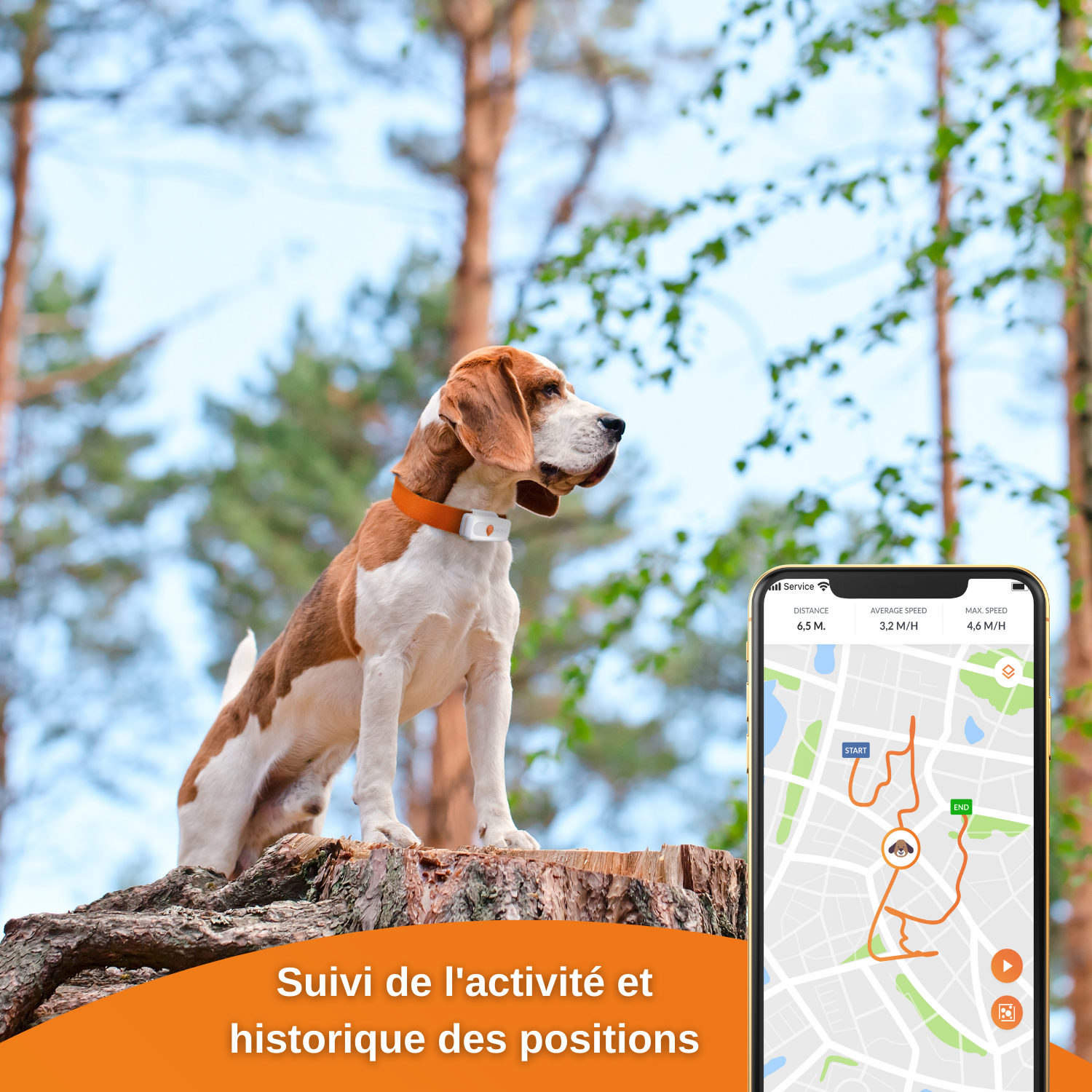 XS - collier gps pour chien ( white edition 2023)