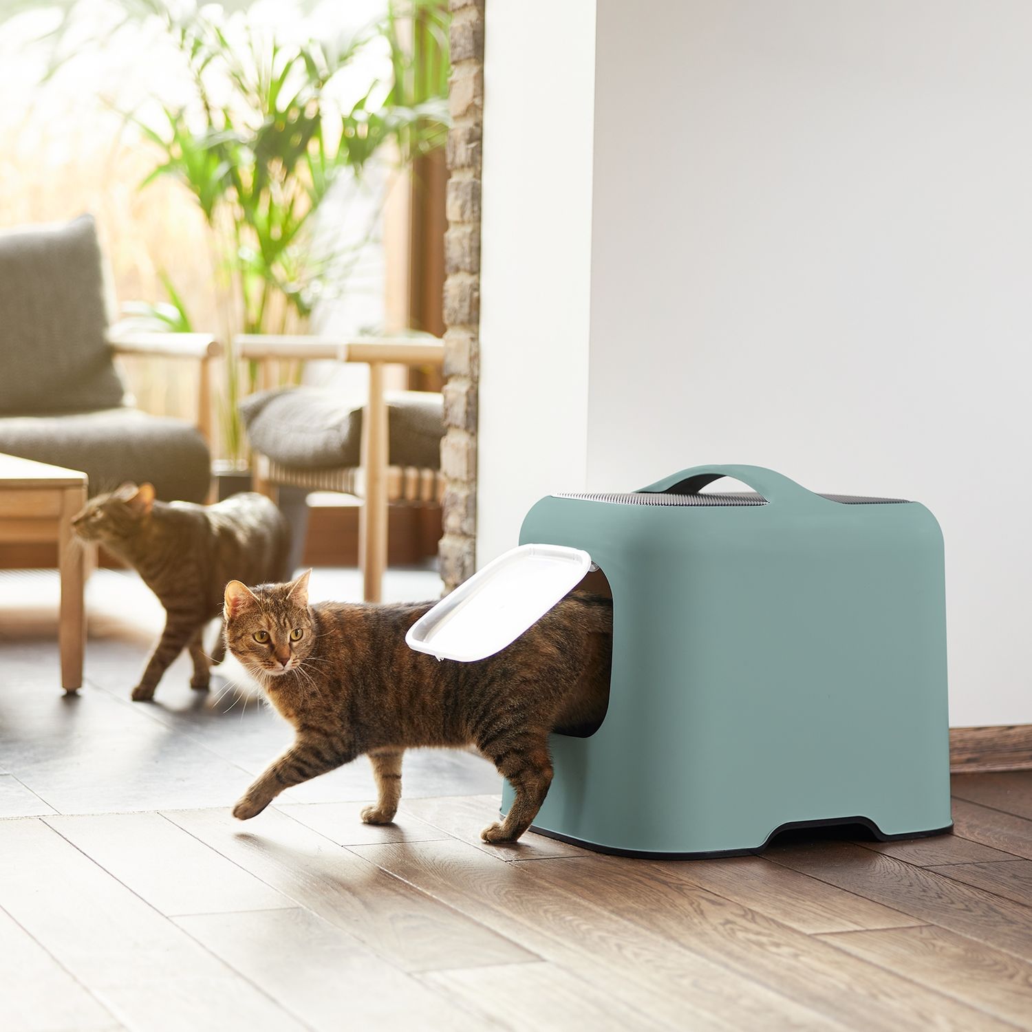 Rotho Kattenbak Biala - groen