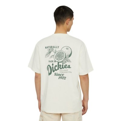 Tee-shirt à manches courtes homme Raven Tee JAUNE DICKIES
