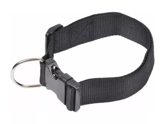 Collier Réglable pour Chien 