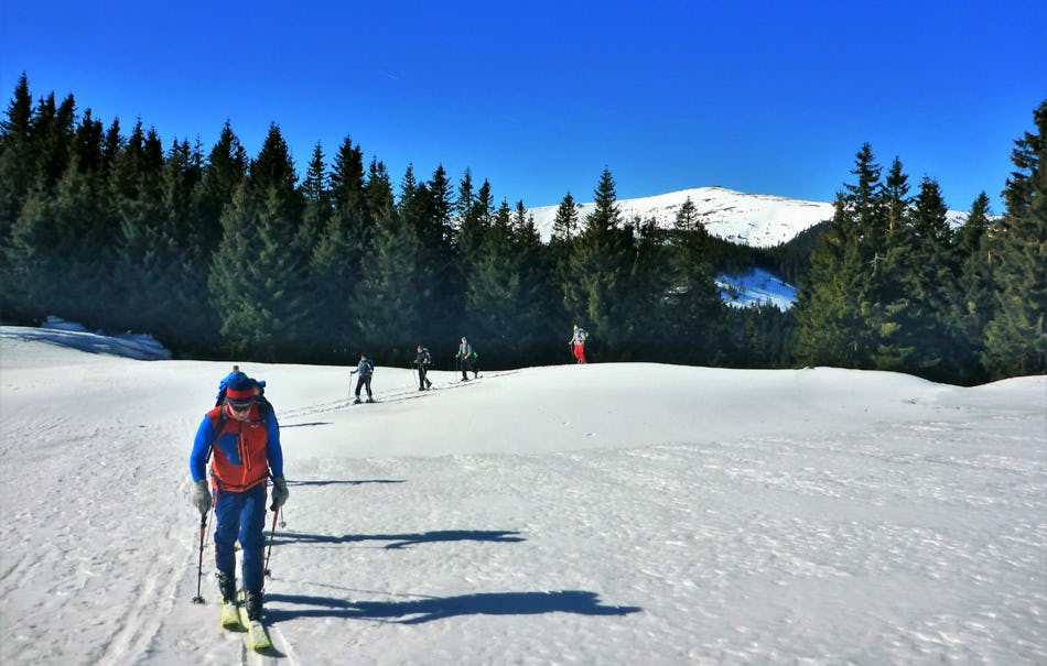 Einsteiger Skitour Neuberg an der Mürz