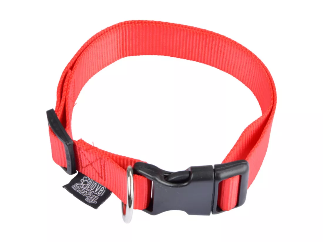 Collier Réglable pour Chien 